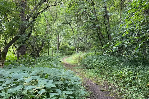 Camden State Park