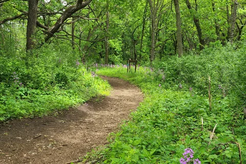 Camden State Park