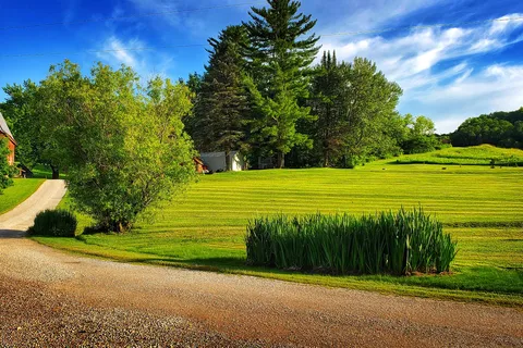 Maple Springs Campground