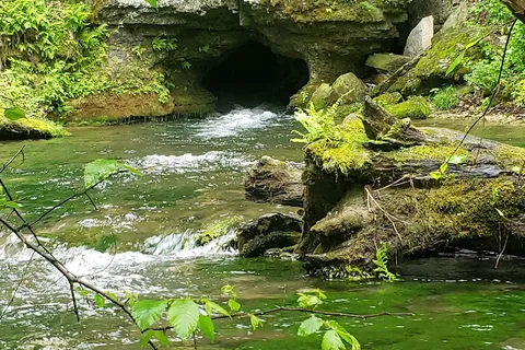 Maple Springs Campground