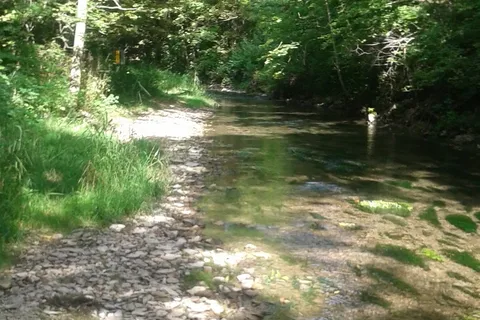 Maple Springs Campground