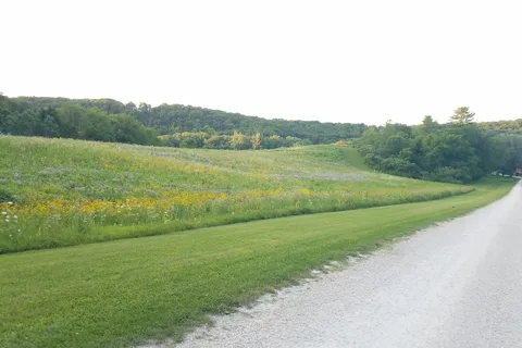 Maple Springs Campground