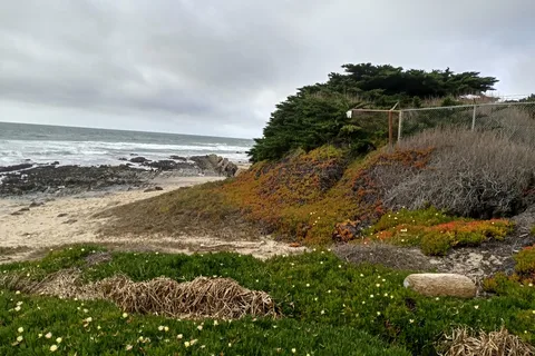 Pelican Point RV Park