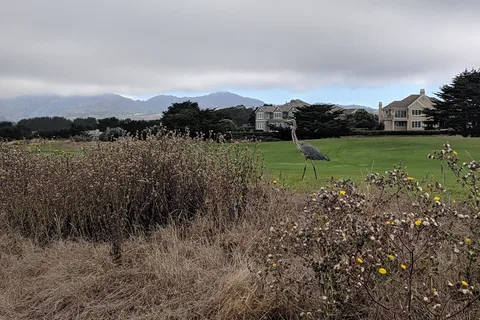 Pelican Point RV Park