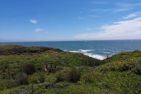 Pelican Point RV Park
