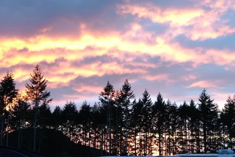 Laketown Ranch Campground