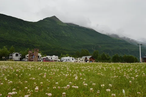 Chena RV Park