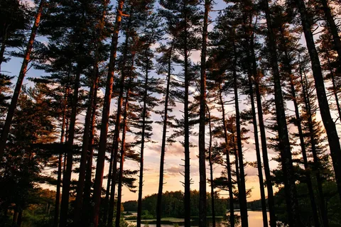 Pinewood Lodge Campgrounds