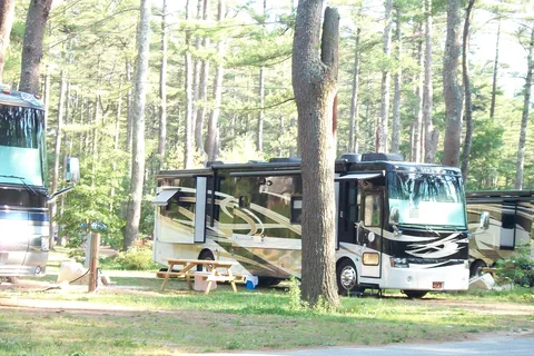 Pinewood Lodge Campgrounds