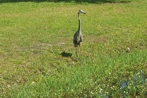 Gulf Breeze RV Resort