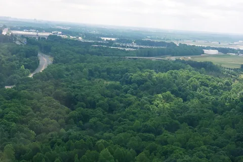 Fieldridge Acres