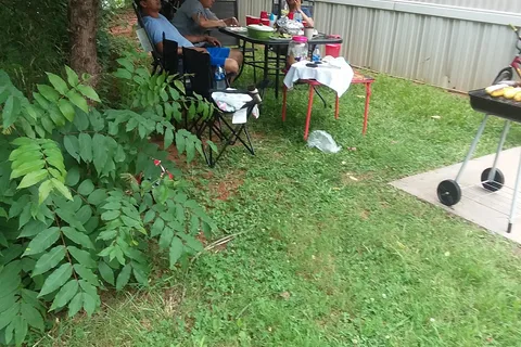 Fieldridge Acres