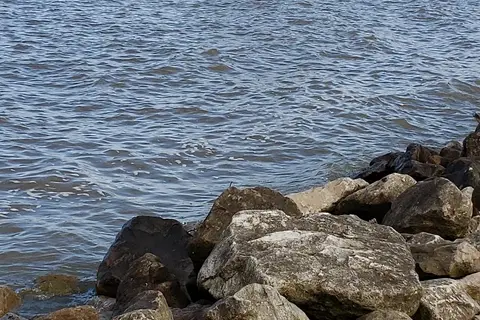Burns Point Boat Launch and Campground