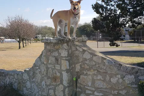 Alamo Fiesta RV Resort