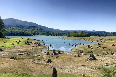 Alder Lake Park