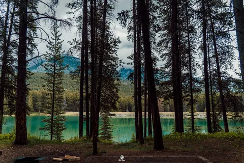 Two Jack Lakeside - Banff National Park