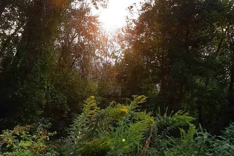 Inkaneep Provincial Park
