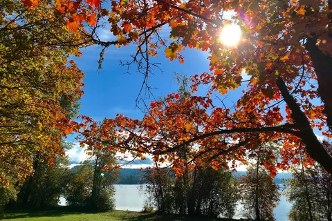 Sproat Lake Provincial Park Campground