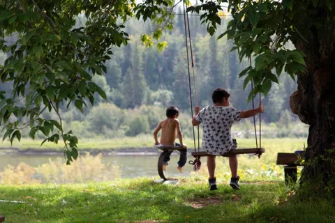 Metis Crossing