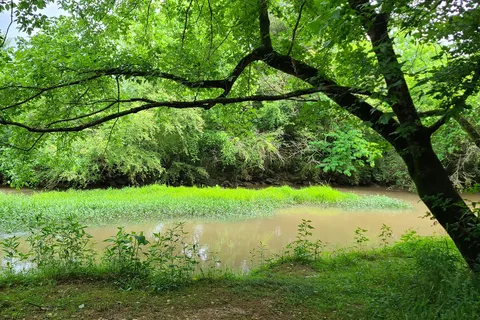 Wills Creek RV Park