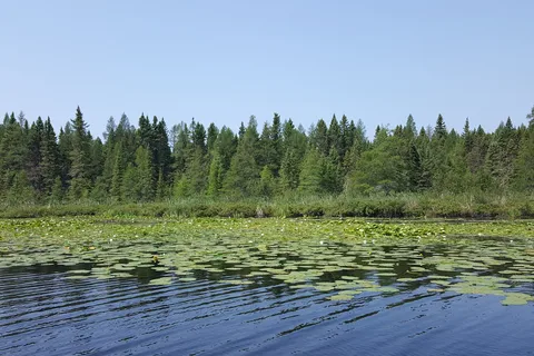 Pine Acres Resort and Campground