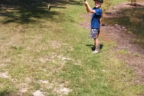 Timber Trails Campground
