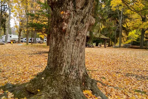 Marble Springs Campground