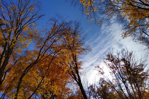 Marble Springs Campground