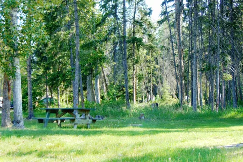 Spruce Grove Campground