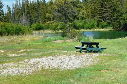 Spruce Grove Campground