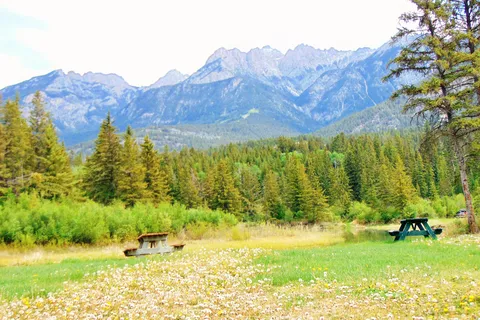 Spruce Grove Campground