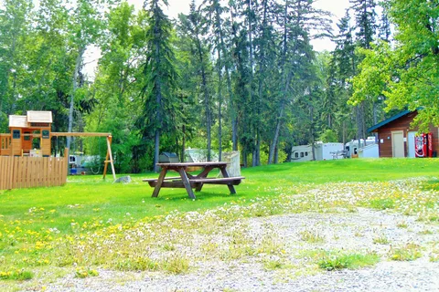 Spruce Grove Campground