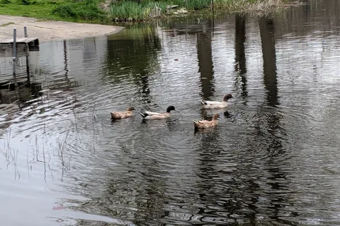 Lukens Lake Resort