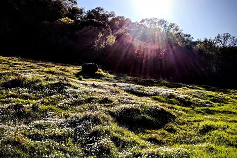 Skyline Wilderness Park