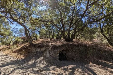 Skyline Wilderness Park