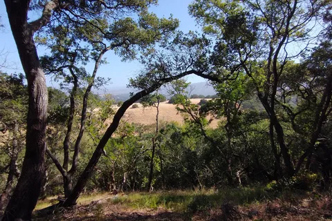 Skyline Wilderness Park