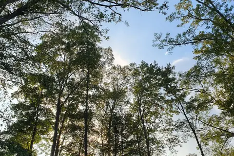 Whites Haven Campground and Cabins