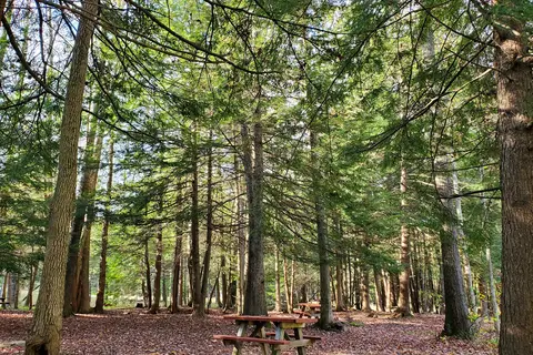 Whites Haven Campground and Cabins