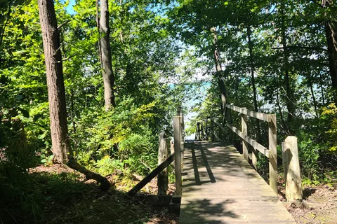 Orchard View Park