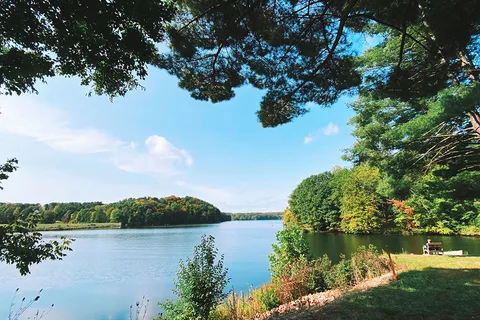 Campbell Cove Camping