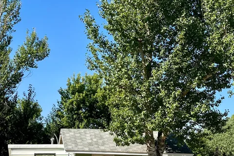 Evergreen Campground