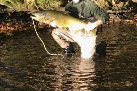 Fox Hollow Salmon River Lodge
