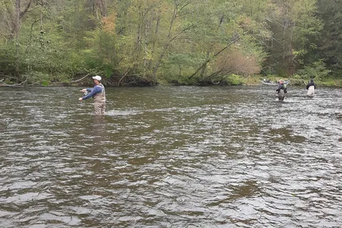 Fox Hollow Salmon River Lodge