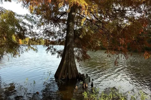 Long Lake Resort and RV Park | Oklahoma Cabin Rentals