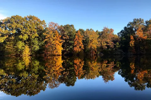 Long Lake Resort and RV Park | Oklahoma Cabin Rentals