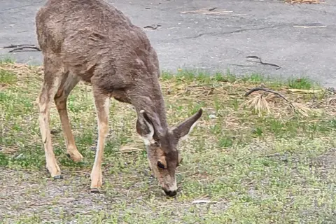 Eagle Lake RV Park