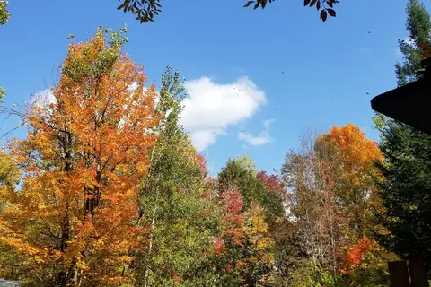 Heavens Up North Campground