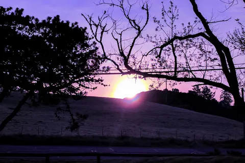 Olema Campground