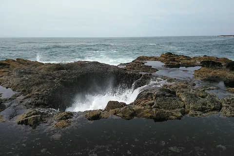 Seal Rock RV Cove