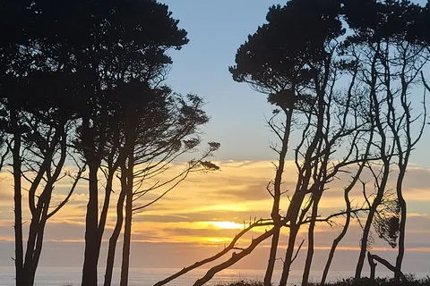 Seal Rock RV Cove
